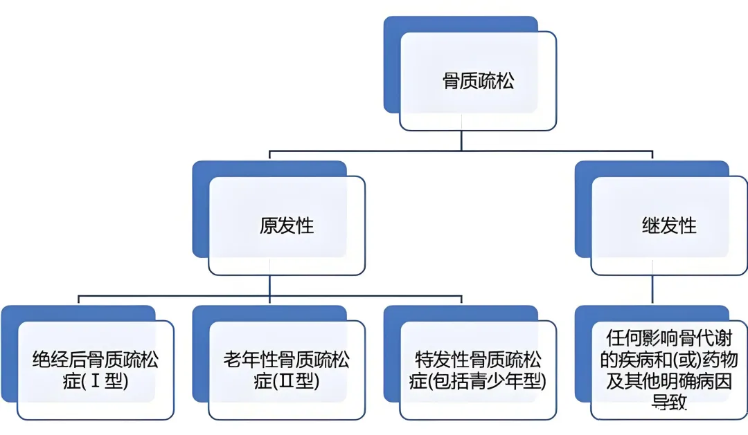 骨質疏松分類.png